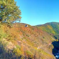 Expedition in die Heimat